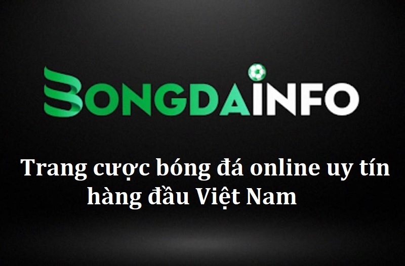 bongdainfo-trang-cuoc-bong-da-online-uy-tin-hang-dau-viet-nam