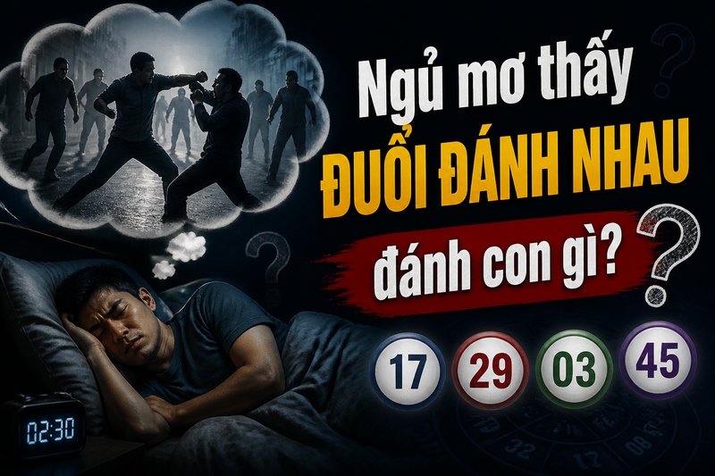 Mỗi chi tiết trong giấc mơ đuổi đánh nhau có thể được liên hệ với những con số tham khảo khác nhau. 
